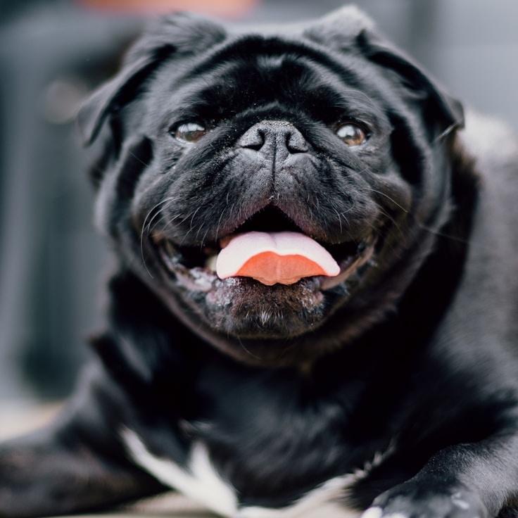 Alex Kim testimonial